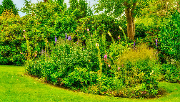 lush english cottage garden