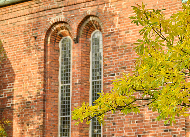 A red brick church with tall arched windows forms the backdrop as a branch of Acer platanoides with yellowing maple leaves extends into the foreground. The scene exudes calm, autumn warmth, and Danish architectural charm, perfect for themes of heritage, culture, and seasonal beauty.