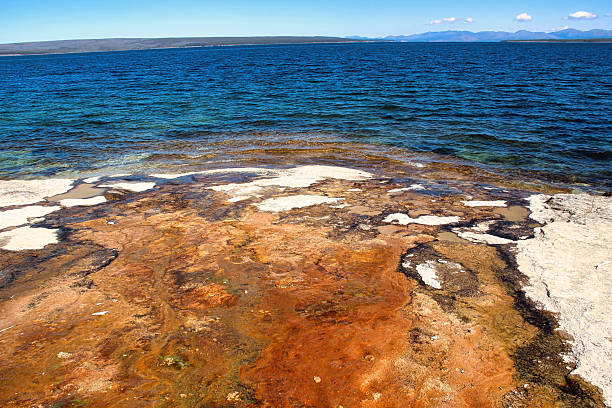 West Thumb Geyser Basin is on the shore of Yellowstone Lake in Yellowstone National Park in Wyoming.  It is one of the smallest basins in Yellowstone and includes hot springs and colorful  pools.  The basin's geothermal attractions are seen by way of a mile-long boardwalk.
