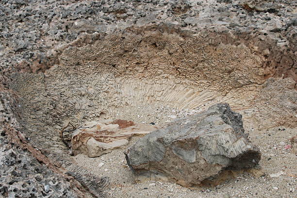 istock Lava Rock in Aruba 2247211556