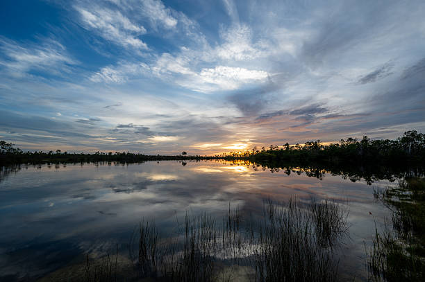 istock Complex sunset cloudscape over calm pond in Everglades National Park, Florida. 2247212750