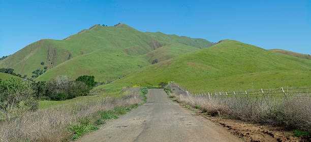 Road to Leesville in Colusa County in the Springtime