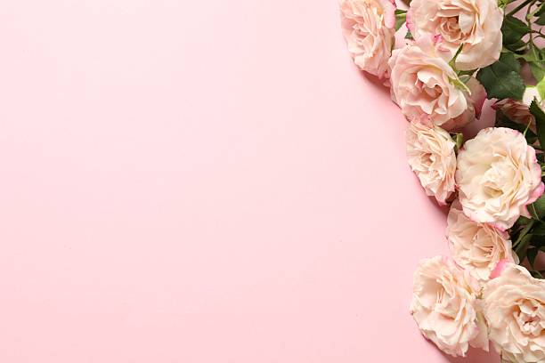 istock Happy Mother's Day. Beautiful roses on pink background, flat lay. Space for text 2247231903