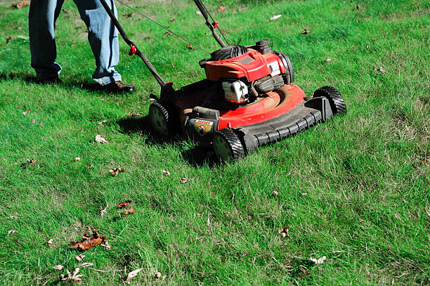 istock outdoor worker working on mowing the lawn 2247232544
