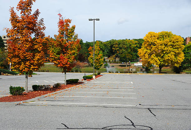 istock autumn colorful tree at the side of empty parking lot 2247239228