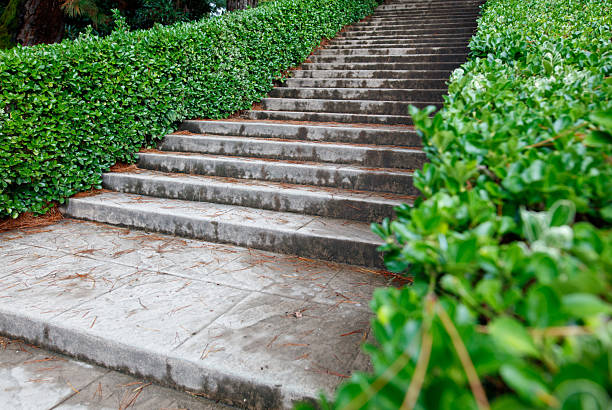 A set of steps leading up to a house. The steps are made of concrete and are covered in leaves