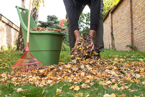 istock Autumn garden works, raking leaves. 2247247530