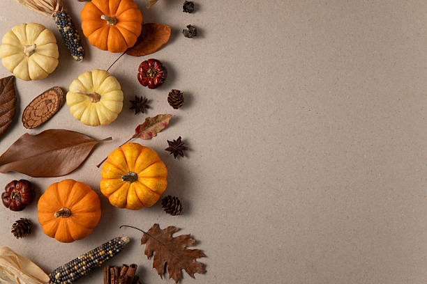 istock Autumnal Background with Pumpkins 2247249102