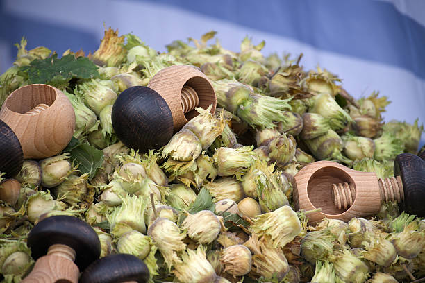 A rich pile of hazelnuts with green husks, interspersed with wooden and black nutcrackers, creating a warm, rustic autumn scene perfect for harvest, kitchen, or gifts imagery.