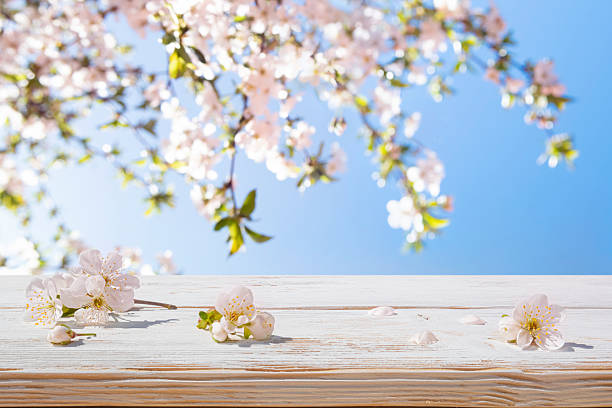 istock Blossoming flowers on wooden table with copy space and blurred abstract cherry tree background 2247253907