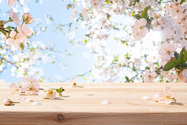 istock Wooden table for product display and presentation in front of spring blossom cherry tree flowers background 2247253914