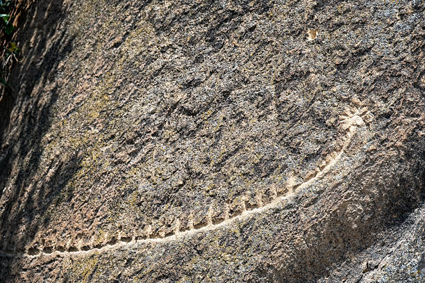 A snake-shaped petroglyph carved into stone at the ancient rock art site of Qobustan, Azerbaijan.