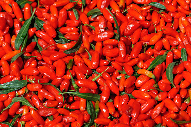 istock Picked fresh red goji berry fruits 2247258165