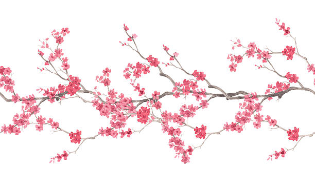istock Seamless border of sakura branches. Watercolor handmade illustration. For fabric, wallpaper, greeting cards, design, decoration and illustration. 2247259581