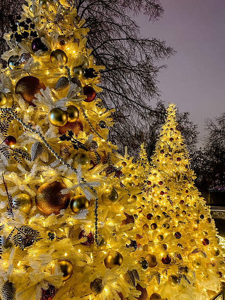 istock bright holiday trees illuminate walkways, radiant christmas displays create enchanting evening 2247259875