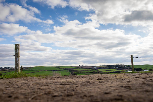 An agricultural field in the Cornish countryside