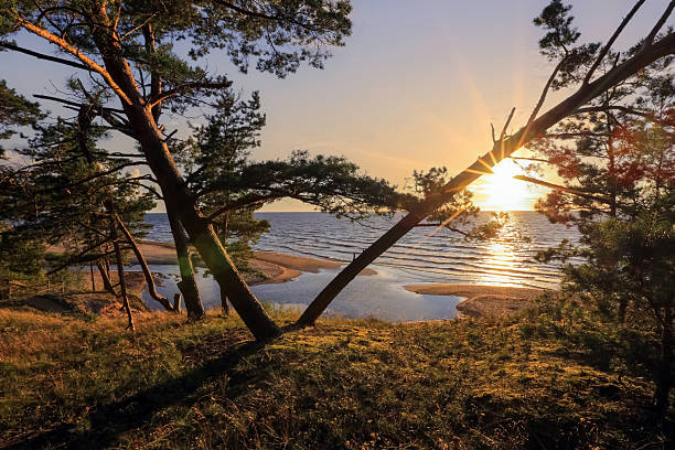 Summer sunset at the beach Saulkrasti located at Rigas bay near the capital Riga
