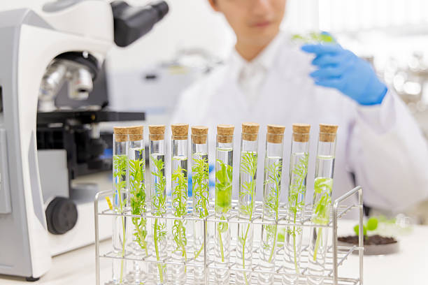 istock Asian man in a white coat working in a laboratory 2247269218