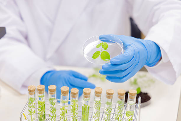 istock Asian man in a white coat working in a laboratory 2247269256