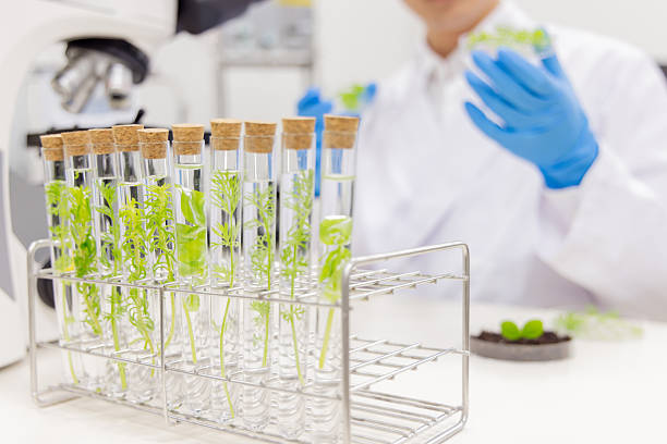 istock Asian man in a white coat working in a laboratory 2247269420
