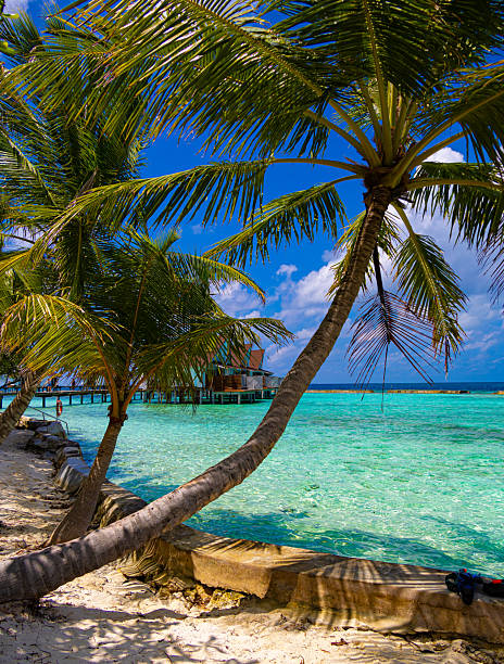 Tropical paradise beach scene for background or wallpaper
