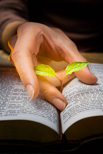 A close-up of a hand gently holding a small green plant growing from an open Bible, symbolizing faith, hope, and spiritual growth.