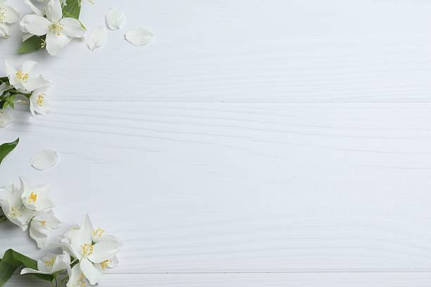 istock White jasmine flowers on wooden background. Spring blooming. Top view, space for text 2247273393