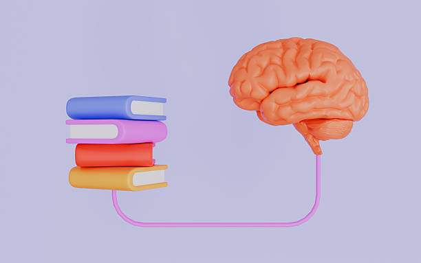 istock Human brain and books, Learn and innovate concepts 3d illustration 2247281258