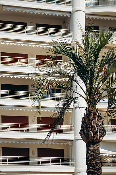 istock Typical facade of a building in Cannes next to a palm tree 2247282542