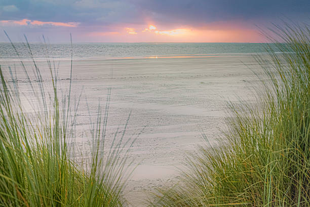 Wind-swept dune grasses foreground a desolate sandy beach under a dramatic, stormy sky, as a vibrant sunset pierces the clouds on the horizon.