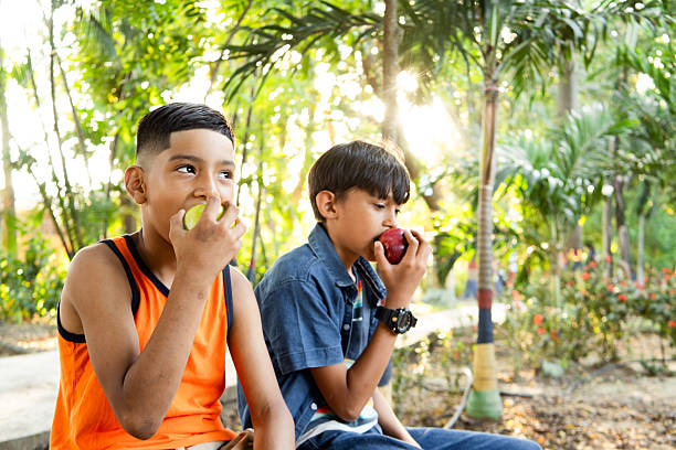 istock Two boys eating apples outdoors during recess time 2247287900