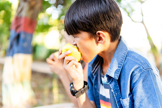 istock Elementary age boy eating apple during outdoor recess 2247287915