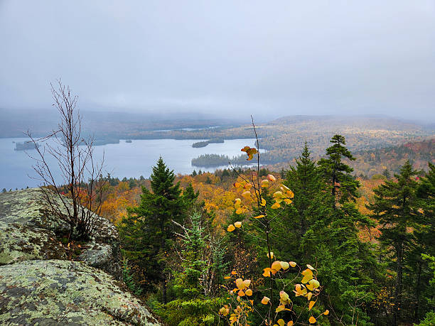Blue Lake from above. Adirondack State Park, New York
