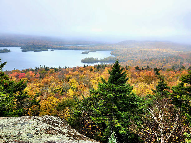 istock Blue Lake from above. Adirondack State Park, New York 2247293276