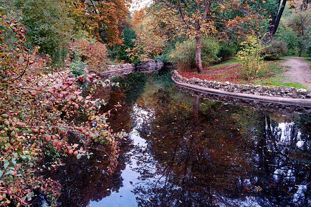 istock Autumn landscape with colorful trees and serene water reflection in a peaceful natural setting 2247294310