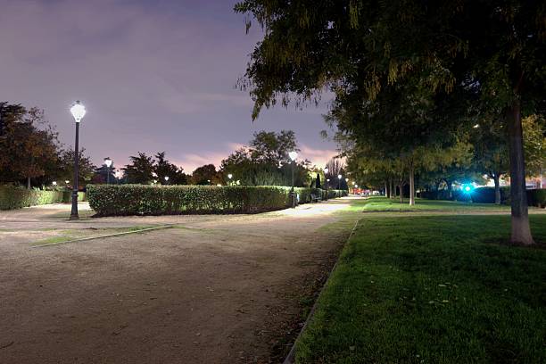 istock Night stroll in a quiet park with lamplights illuminating the pathway and trees 2247294357