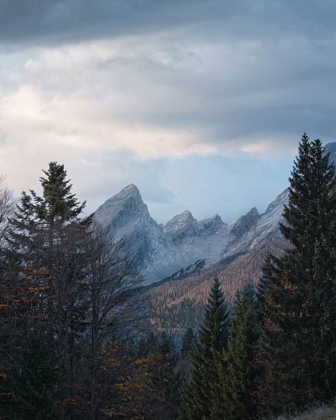 Majestic mountain peaks under a cloudy sky with dense forest in the foreground, capturing the serene beauty of nature.