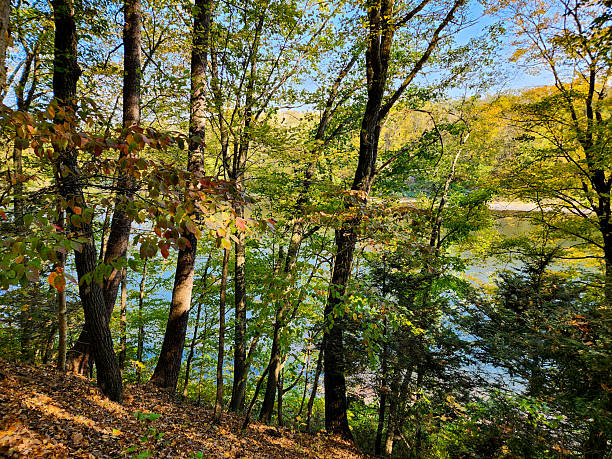 istock Delaware River in Autumn, Delaware Water Gap. 2247295095