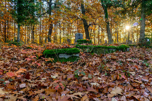 Autumn forest cemetery with moss-covered graves and fallen oak leaves illuminated by warm sunset light creating a nostalgic atmospheric scene