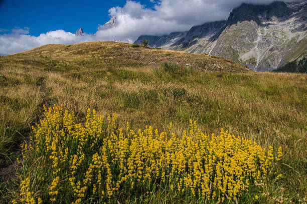 val ferret,val d'aoste,italy