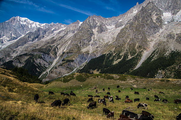 istock landscape of the Aosta Valley 2247300529