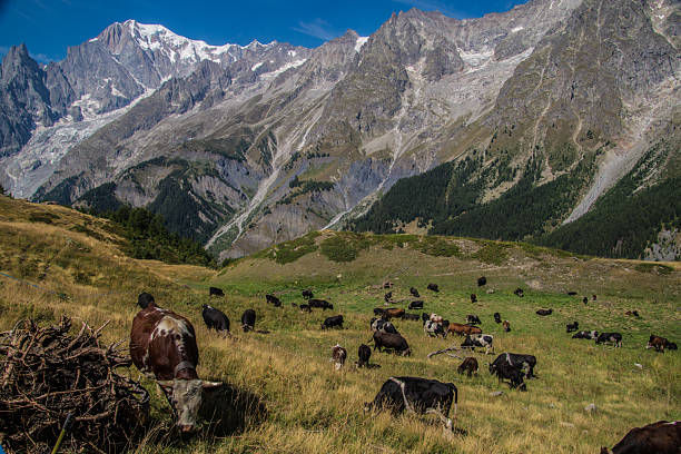 istock landscape of the Aosta Valley 2247300530