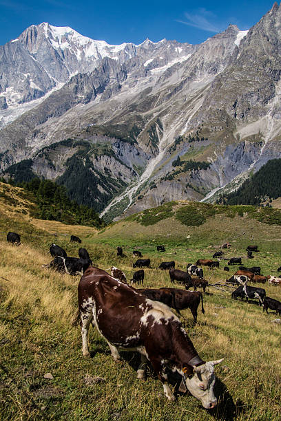 istock landscape of the Aosta Valley 2247300544