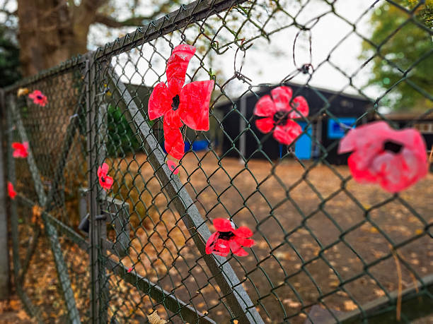 istock Handcrafted red poppies on a fence for remembrance day 2247300571