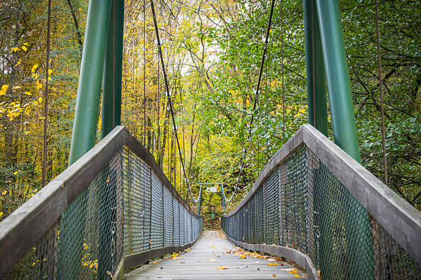 istock Suspension bridge crossing river Thaya, Lower Austria 2247303399