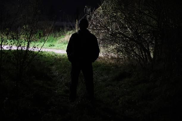 A figure is silhouetted against a dark backdrop of trees at night, evoking intrigue.