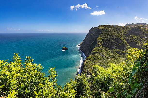 istock Panoramic Ocean View from a Verdant Cliffside under a Blue Sky with Clouds in Madeira Island 2247308199