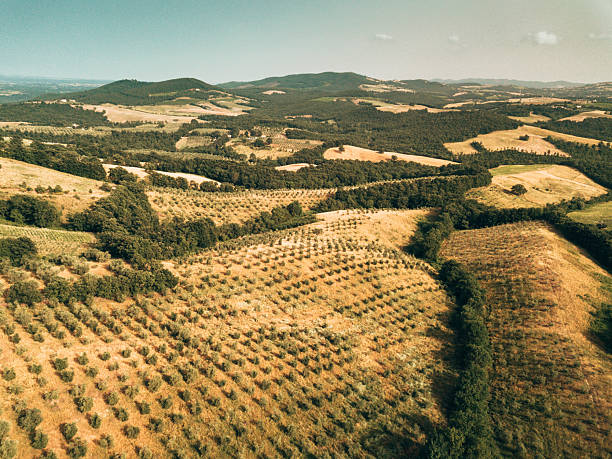 summer italian countryside aerial view