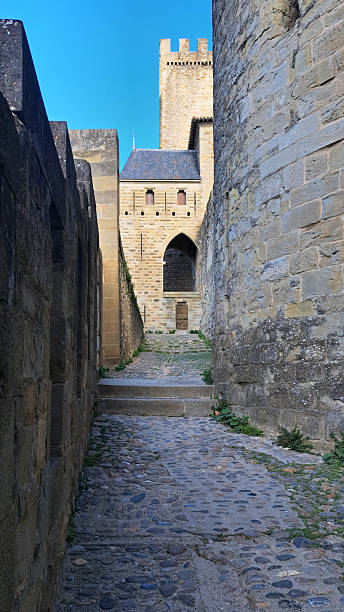 istock Medieval city of Carcassonne 2247308793