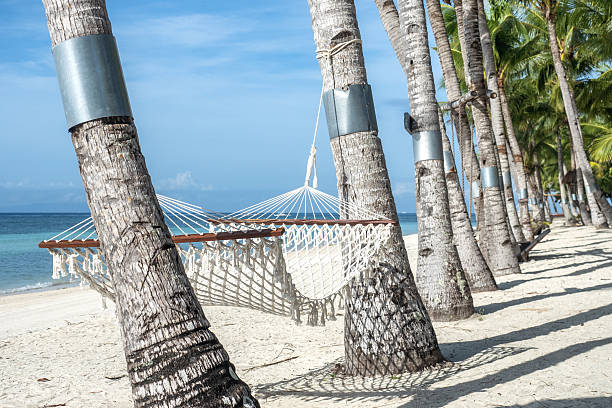 istock Stunning views of an empty beach and palm trees 2247315687